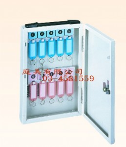 TMBX-0801 鑰匙管理箱(10支) W20xH30